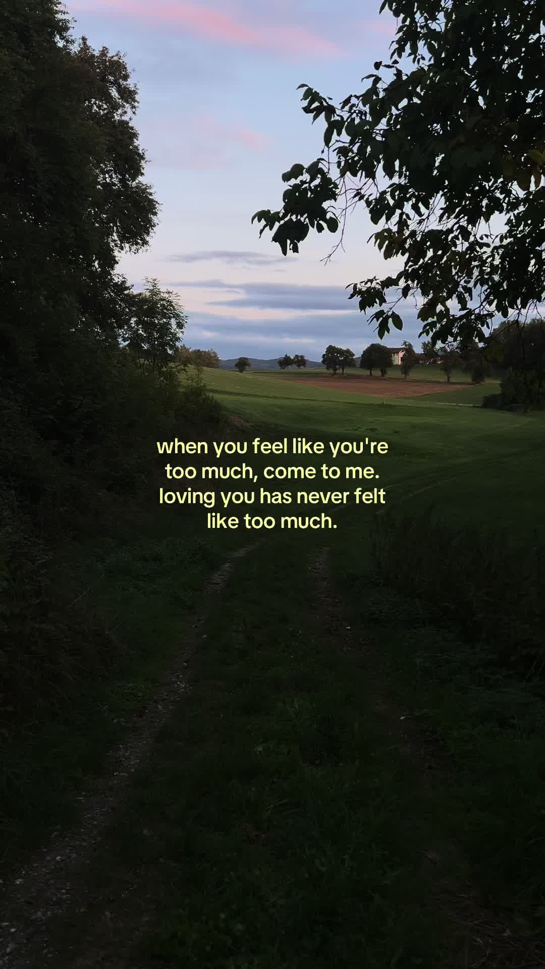 @✧