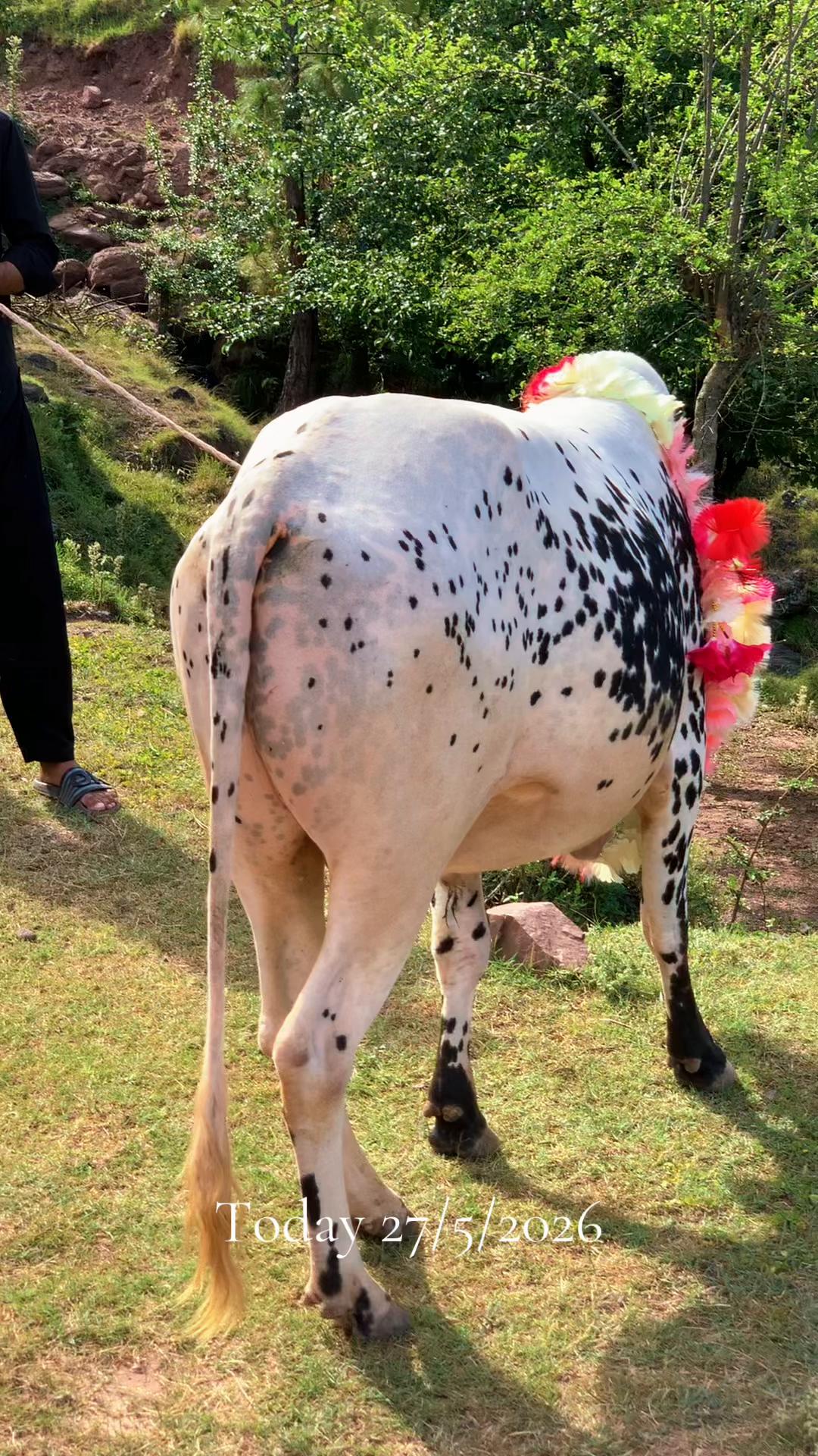 @💫MUZAMMIL 💫KASHMIRI🌟💫BK🥰