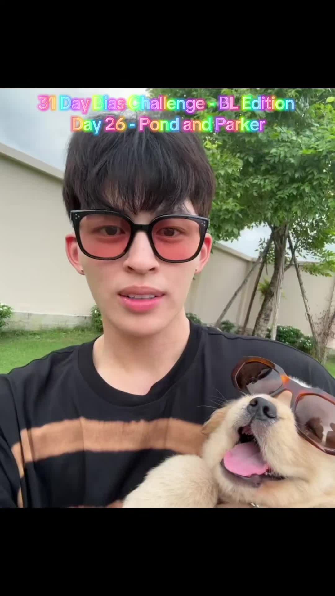 @Dani-chan