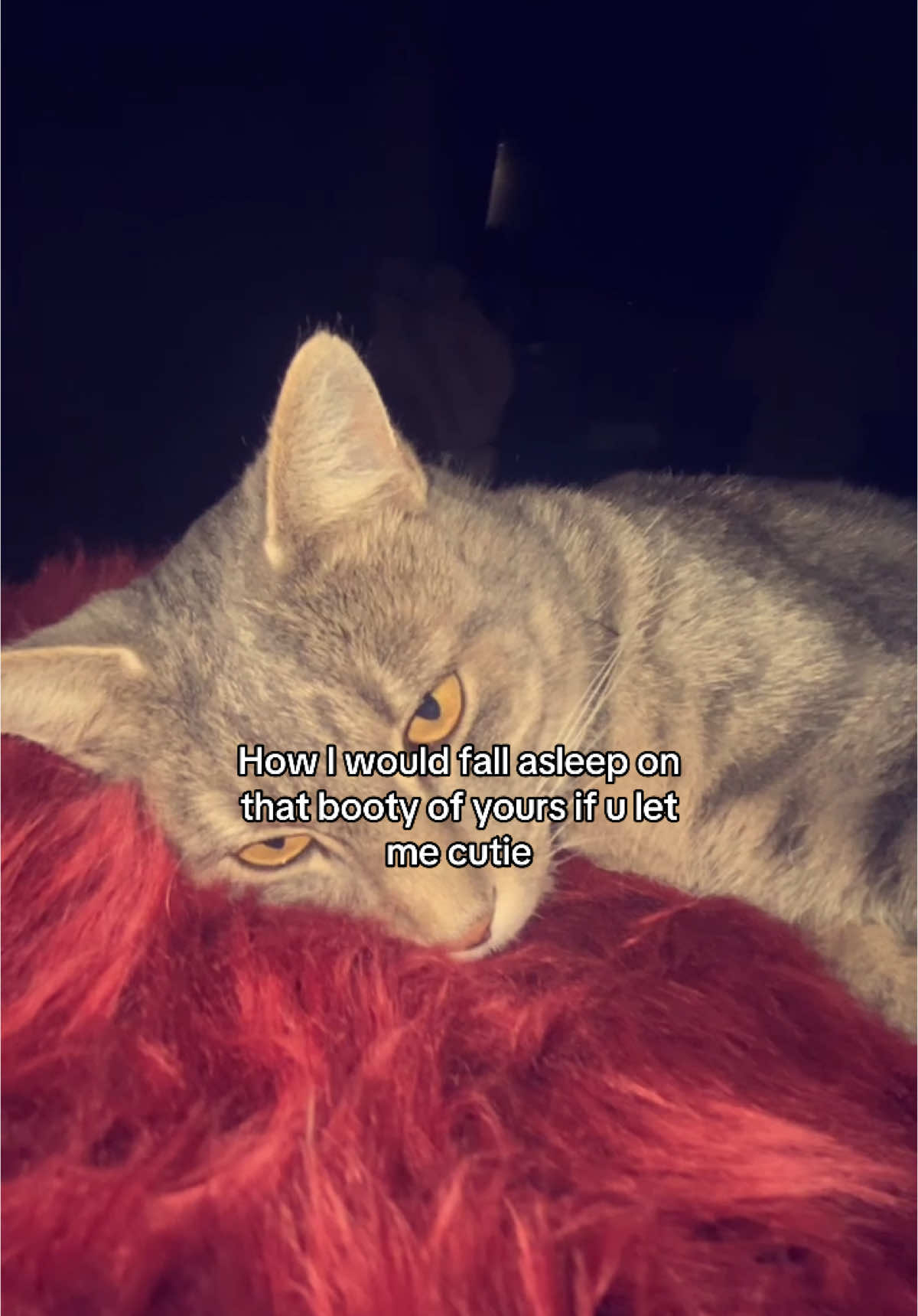 @Simba