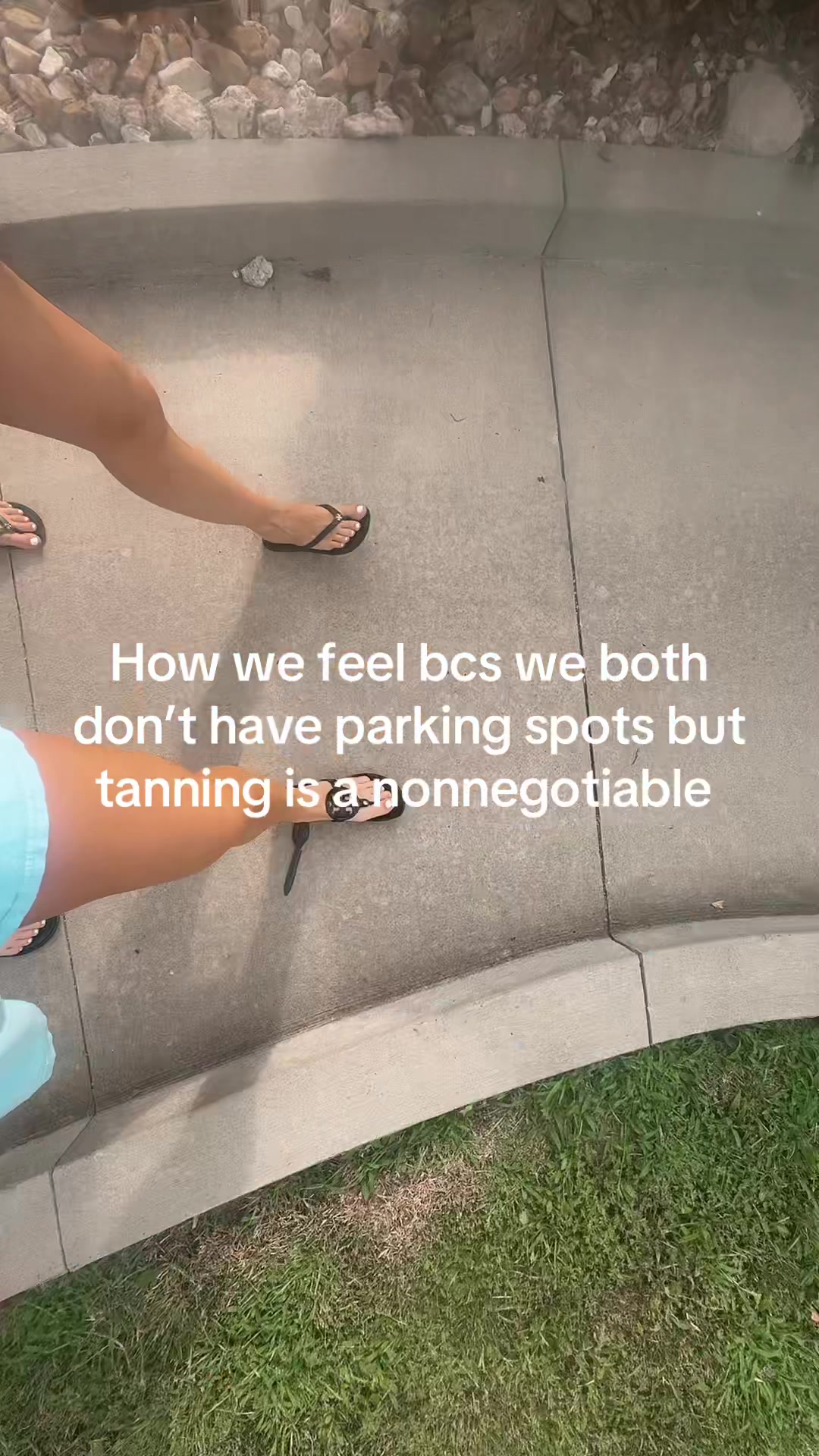 @Annabelle Cook