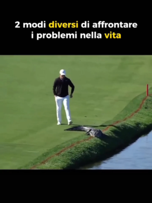 @Valori Luca