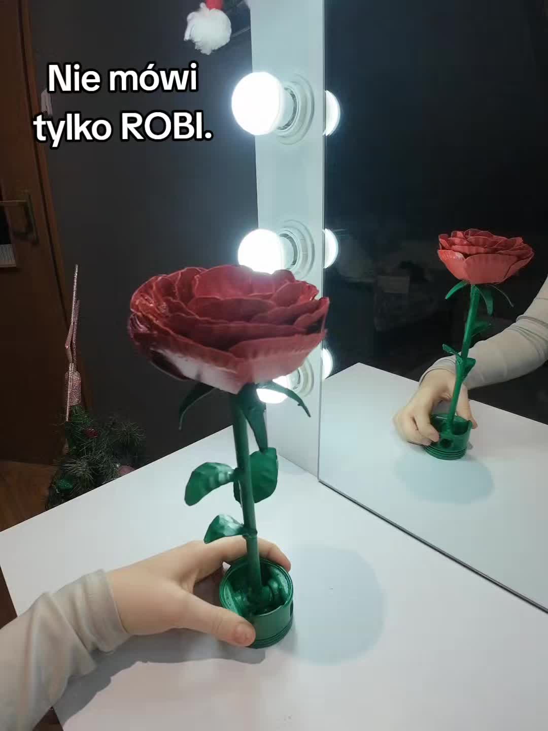 @kvbuus_2.0