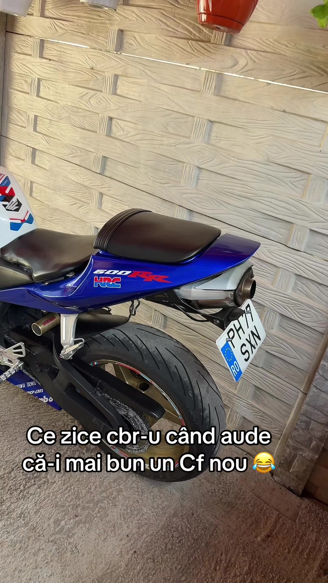 @Costache Adin