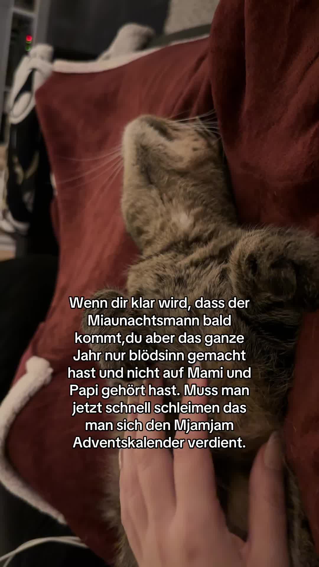 @Happykittycats_
