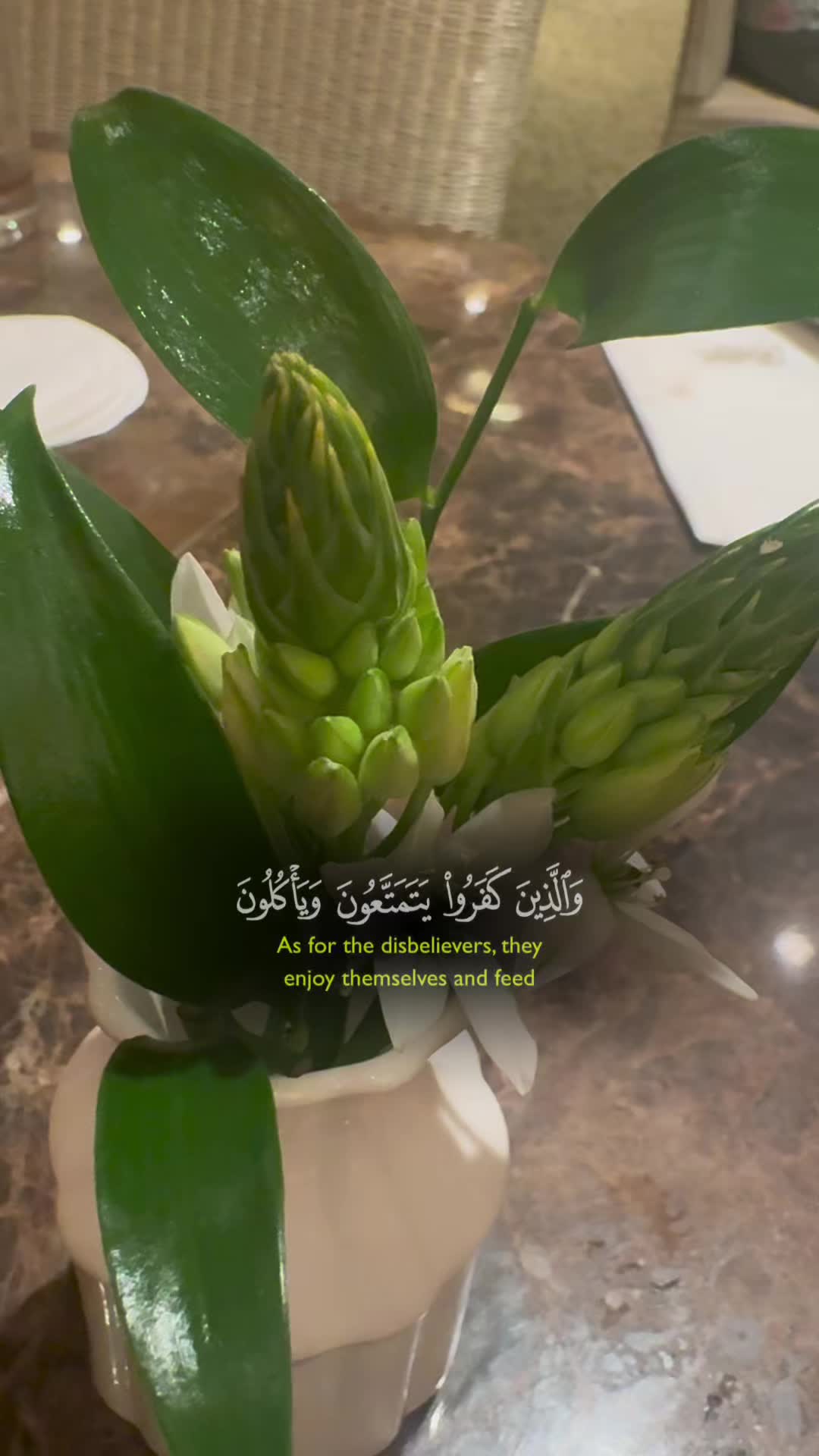 @maqrafiq