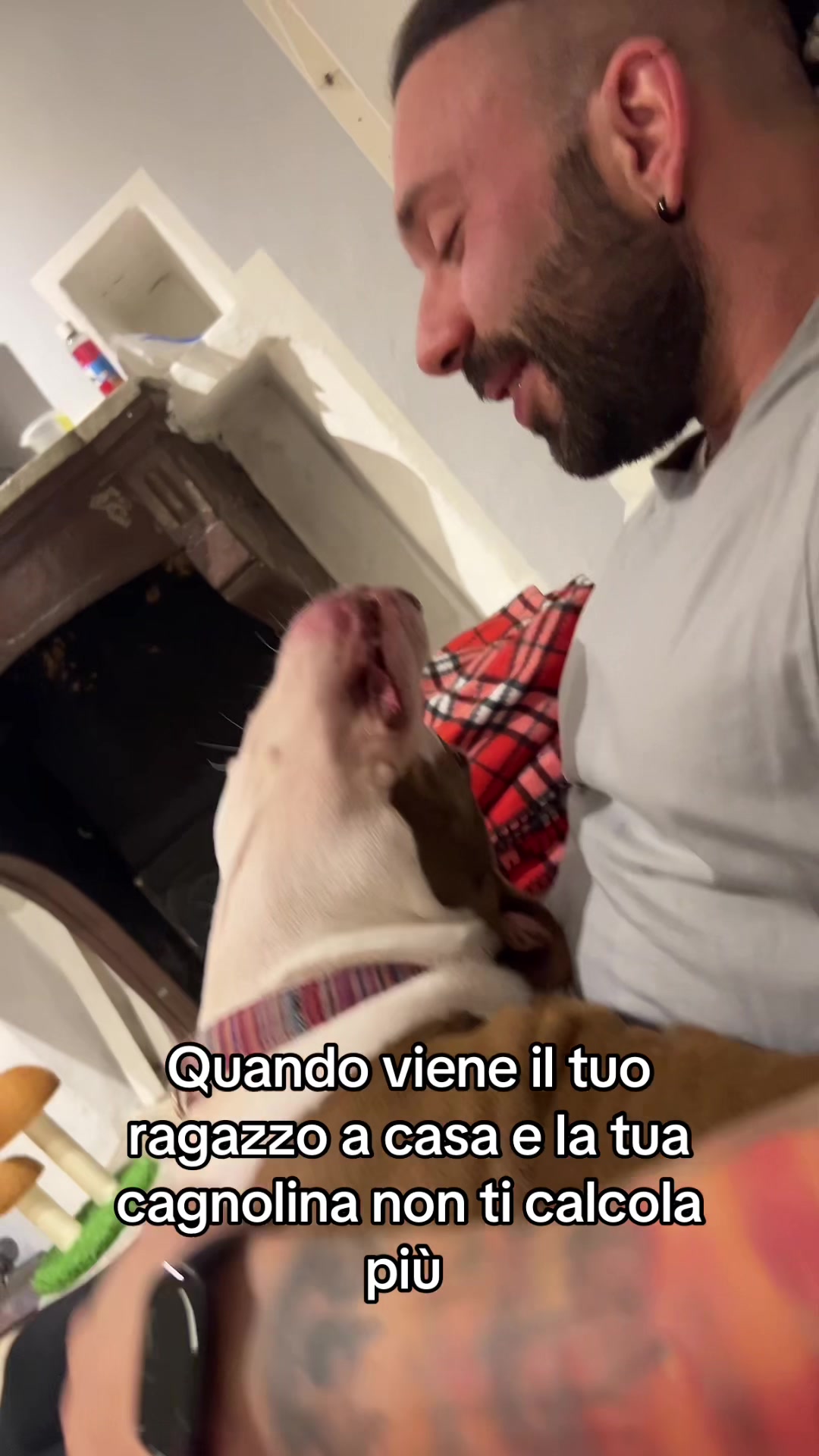 @Primula&Stella