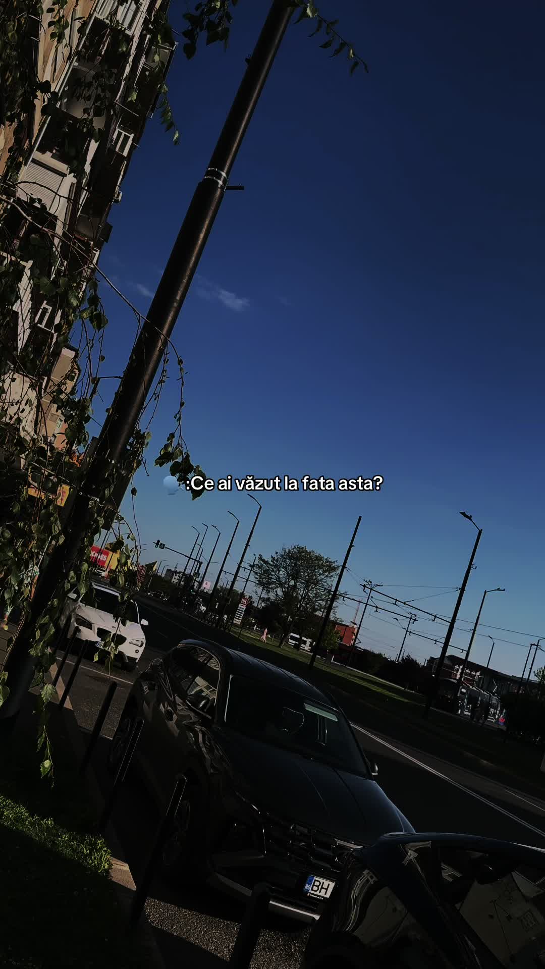 @PaulAbrudan🧢