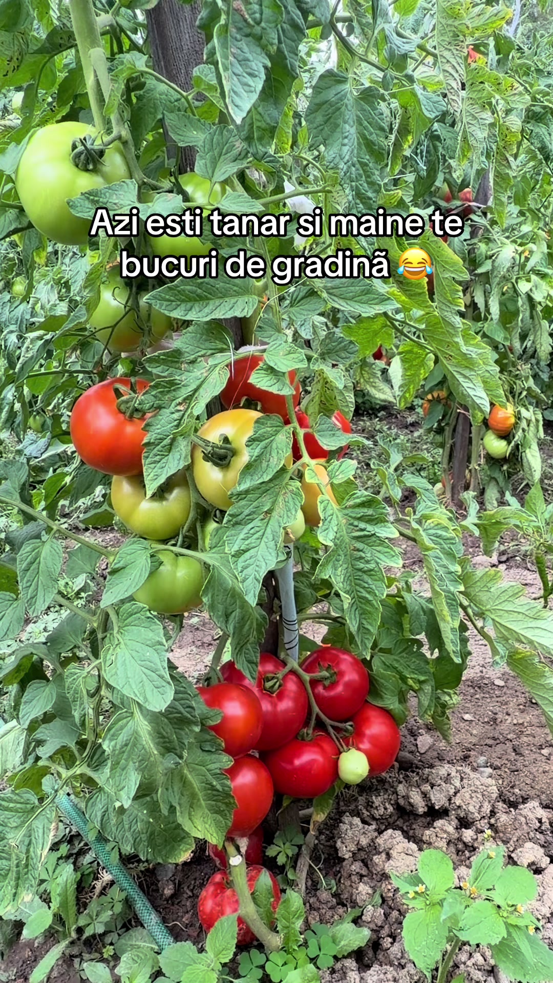 @Bia Popescu Stanciu