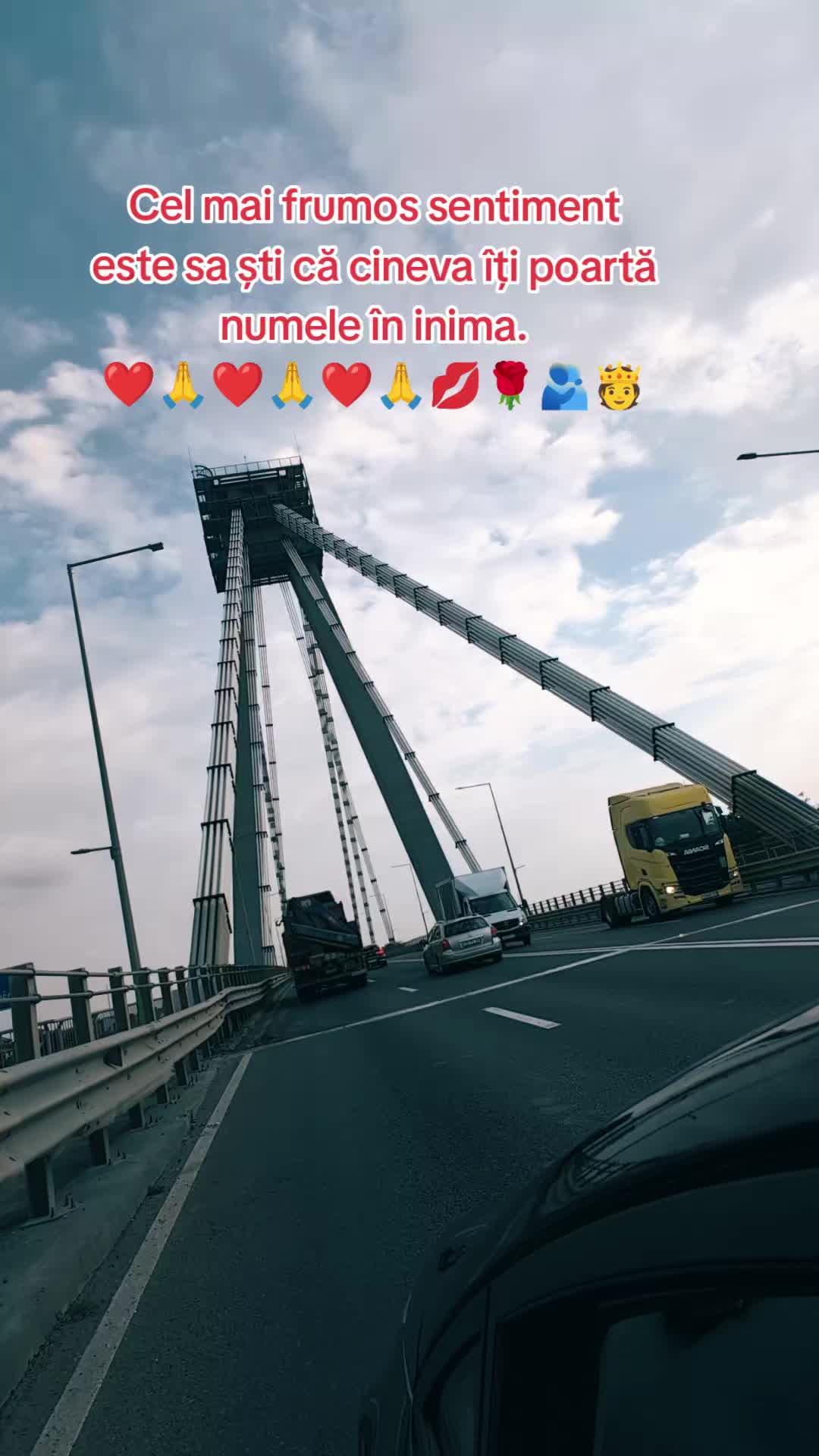 @♥️Leone Lazăr 5425♥️👑👑