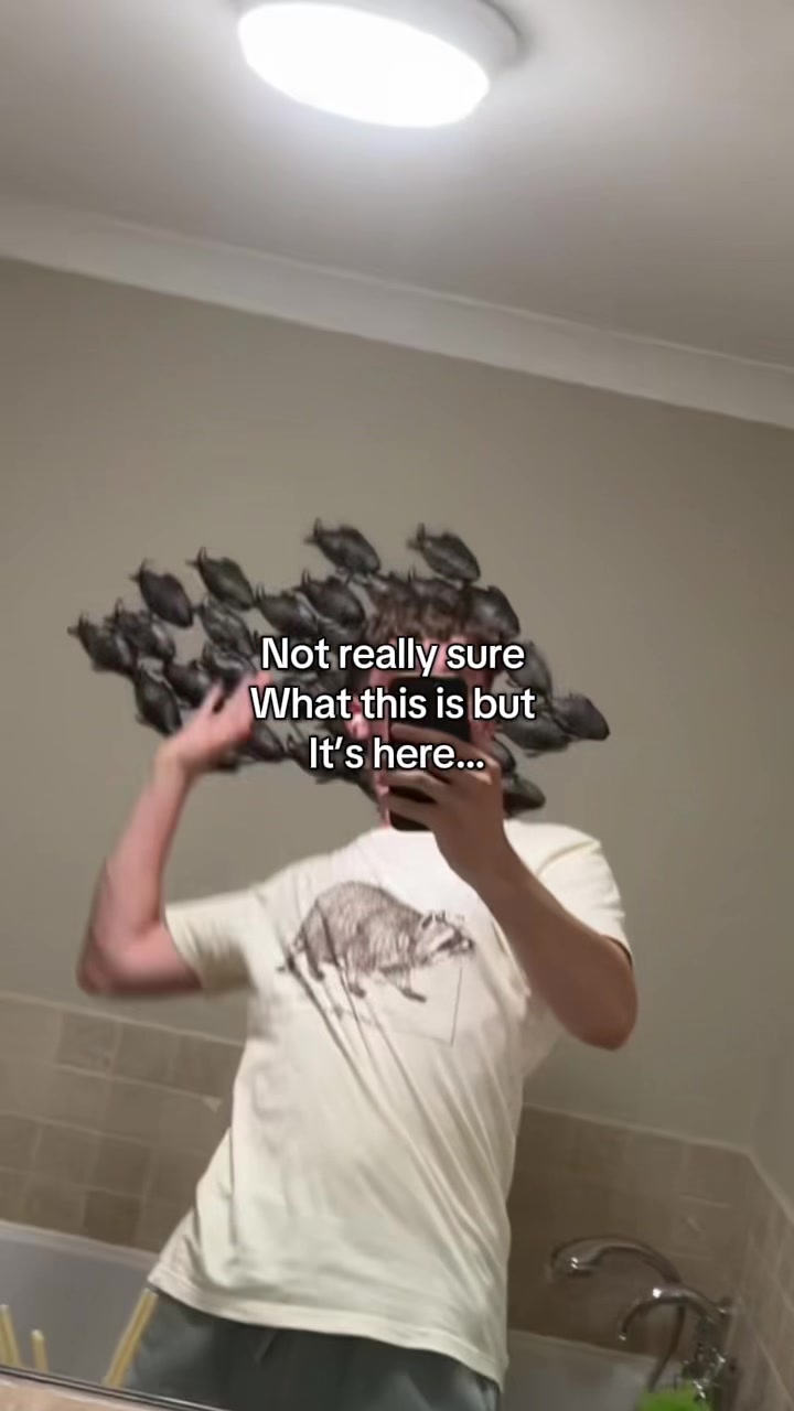 @Tobias.