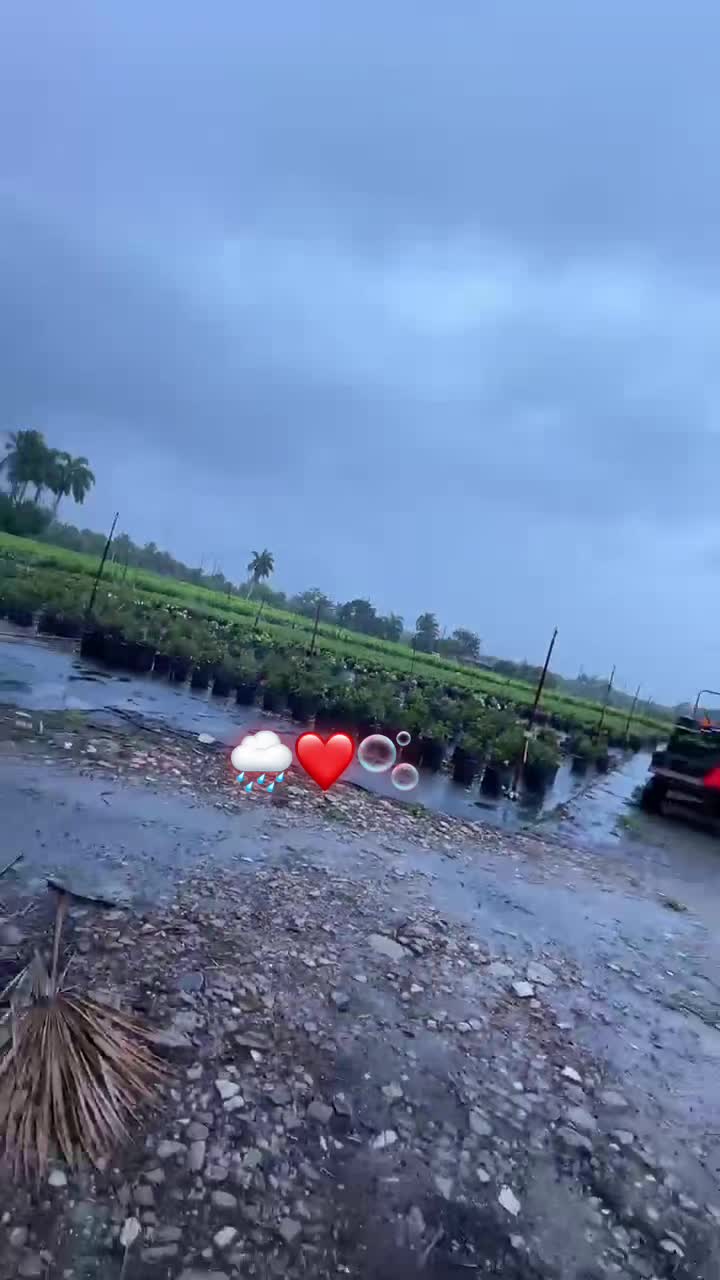@H31d1💙