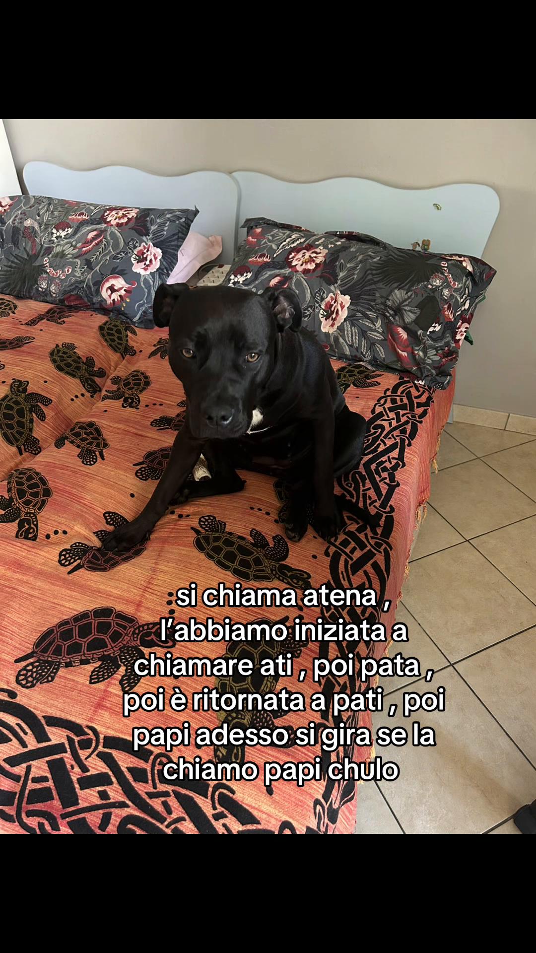 @chiara