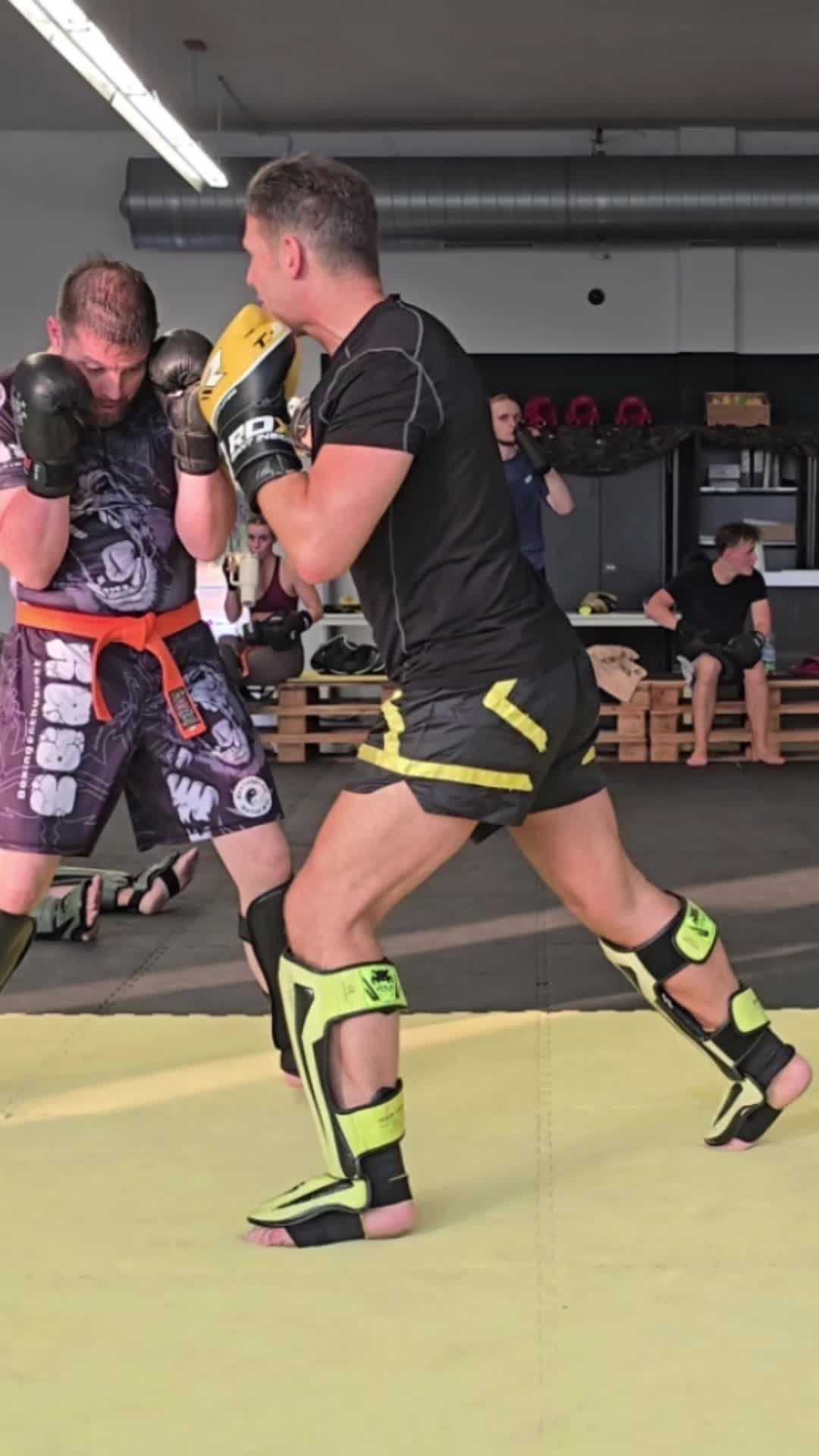 @DIEKICKBOXTRAINER