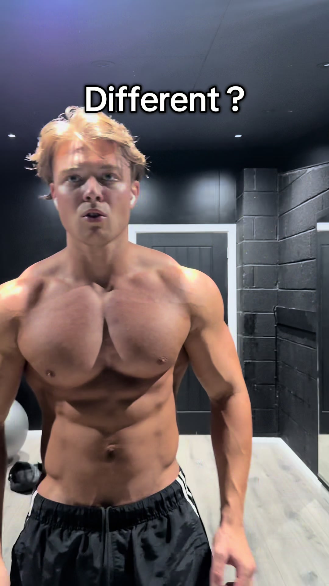 @allysgym