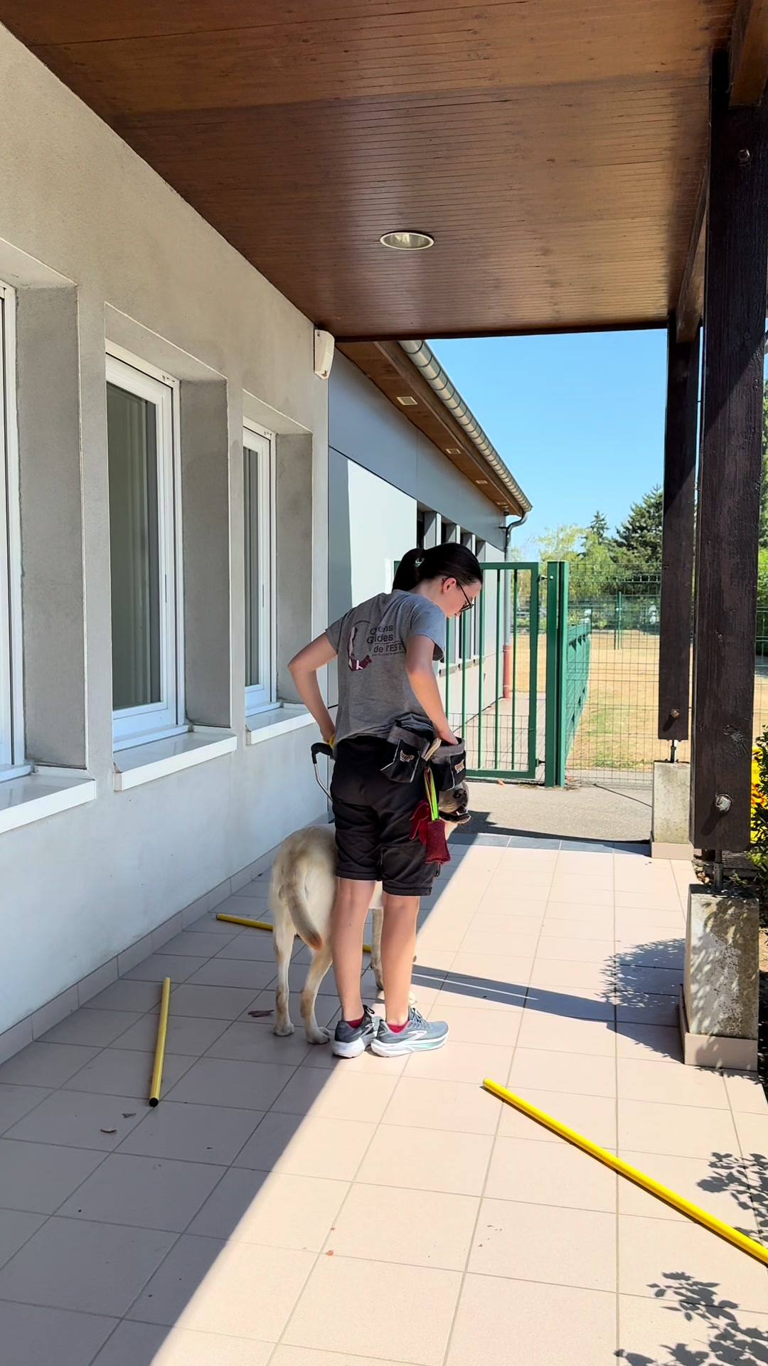 @Chiens Guides de l&rsquo;Est