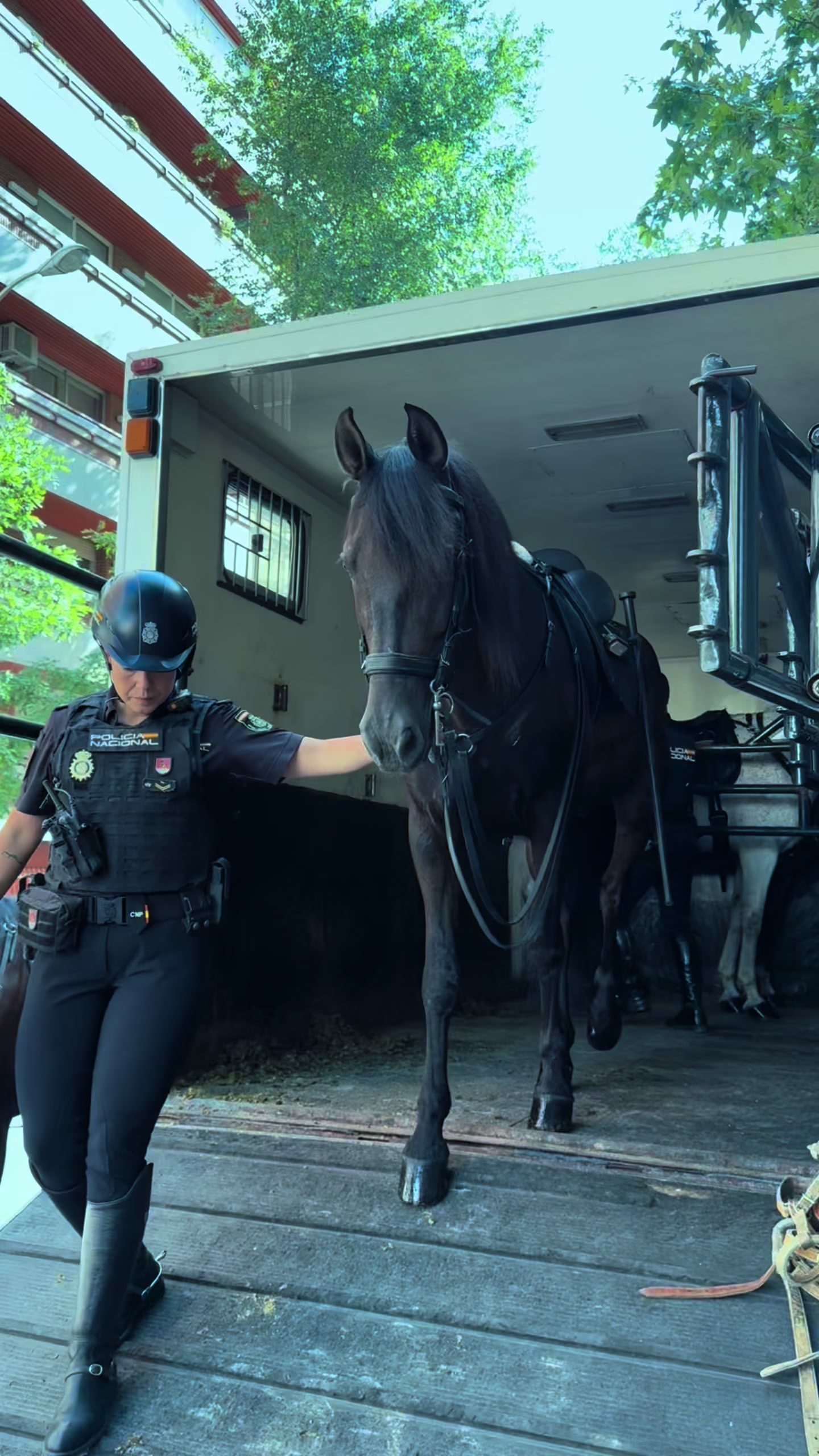 @Policía Nacional