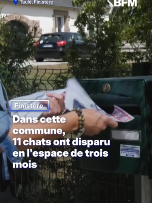 @BFMTV