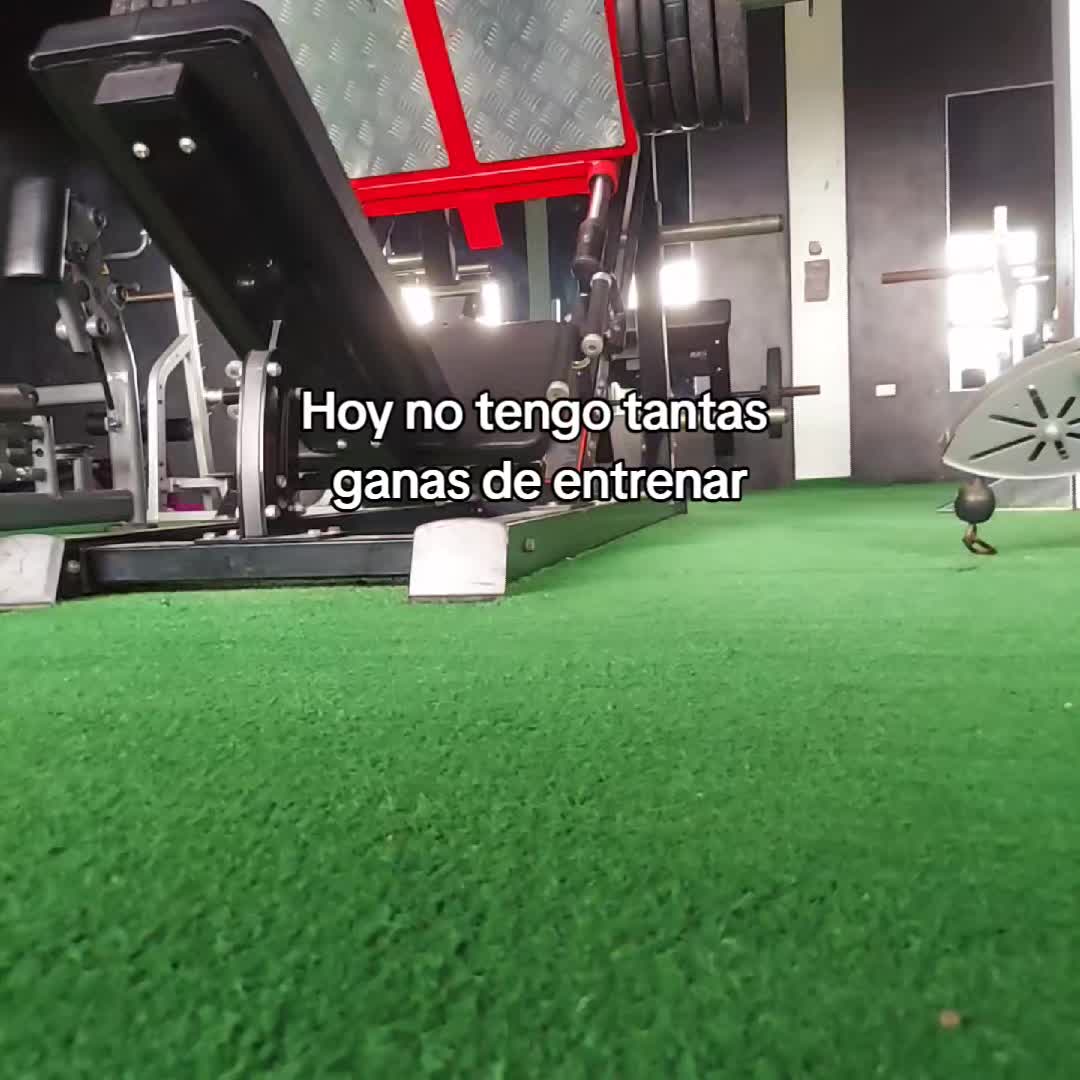 @🥷