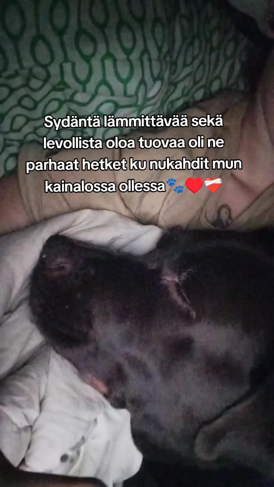 @🖤 𝔐𝔘&real;𝔐𝔈𝔏&image;🖤