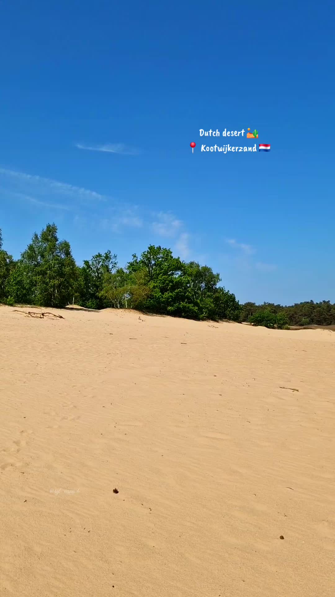 @Sylvana 🇳🇱