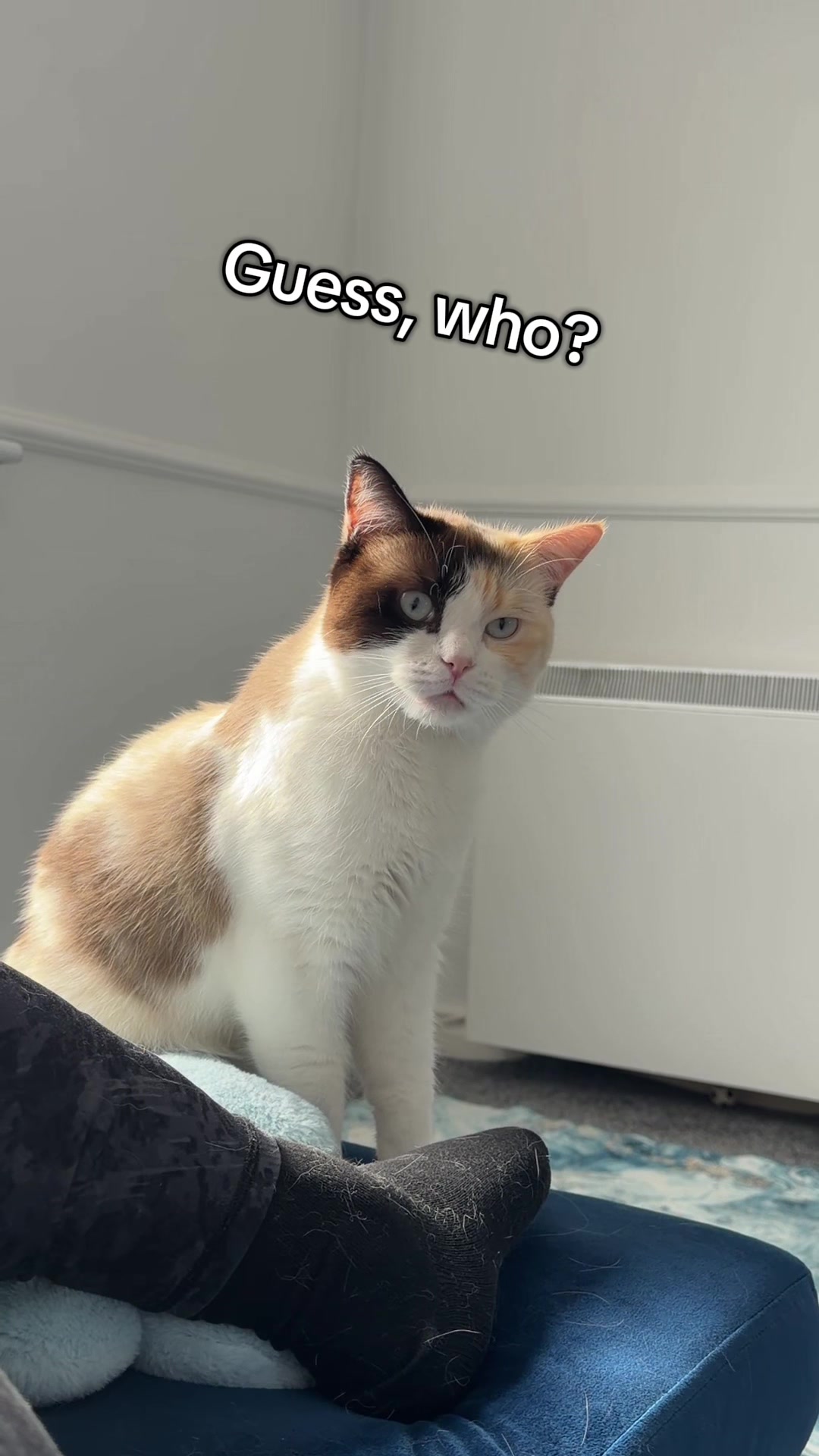 @slavic_cat_mum