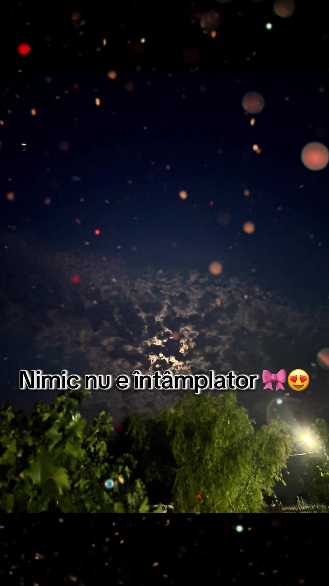 @user_z767