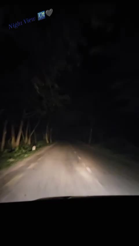 @ðâ£ïžâ®âââðð£ðŠð»ðŠâââðâ£ïž