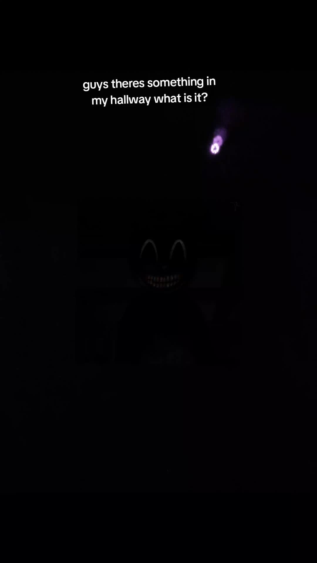 @CaineLover360