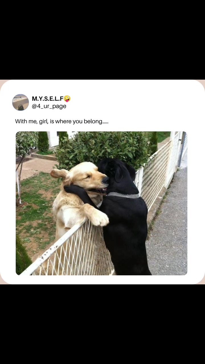 @M.Y.S.E.L.F🤪