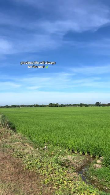 @probinsya