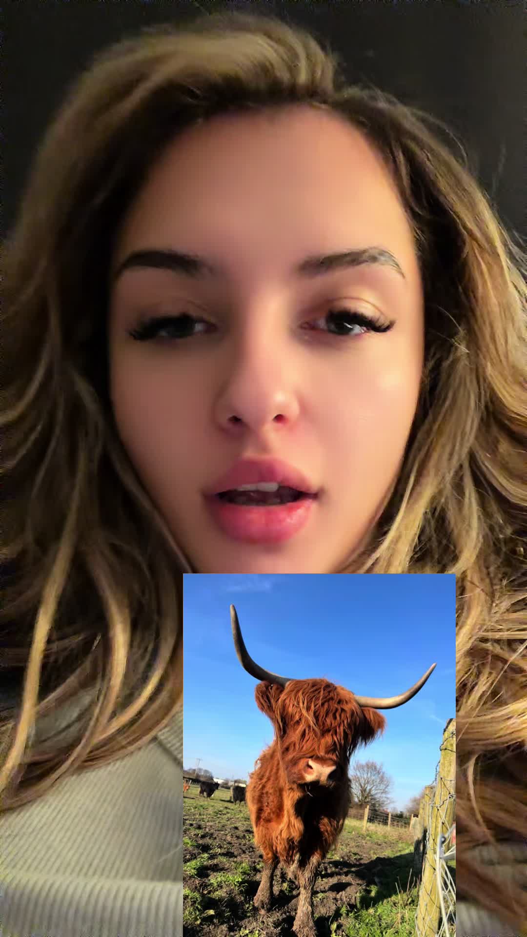 @yapwithzan