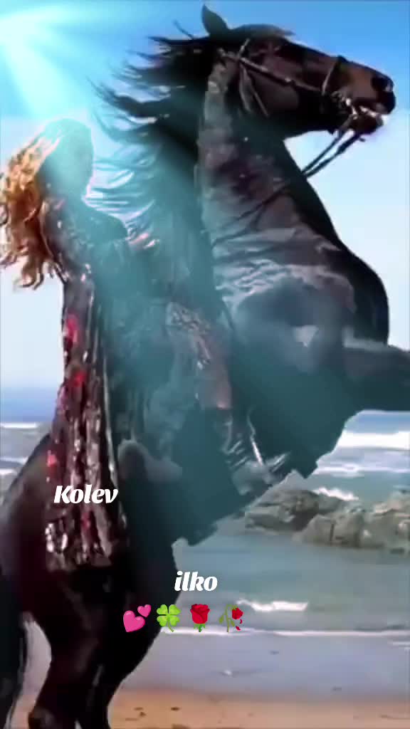 @ilkokolev401