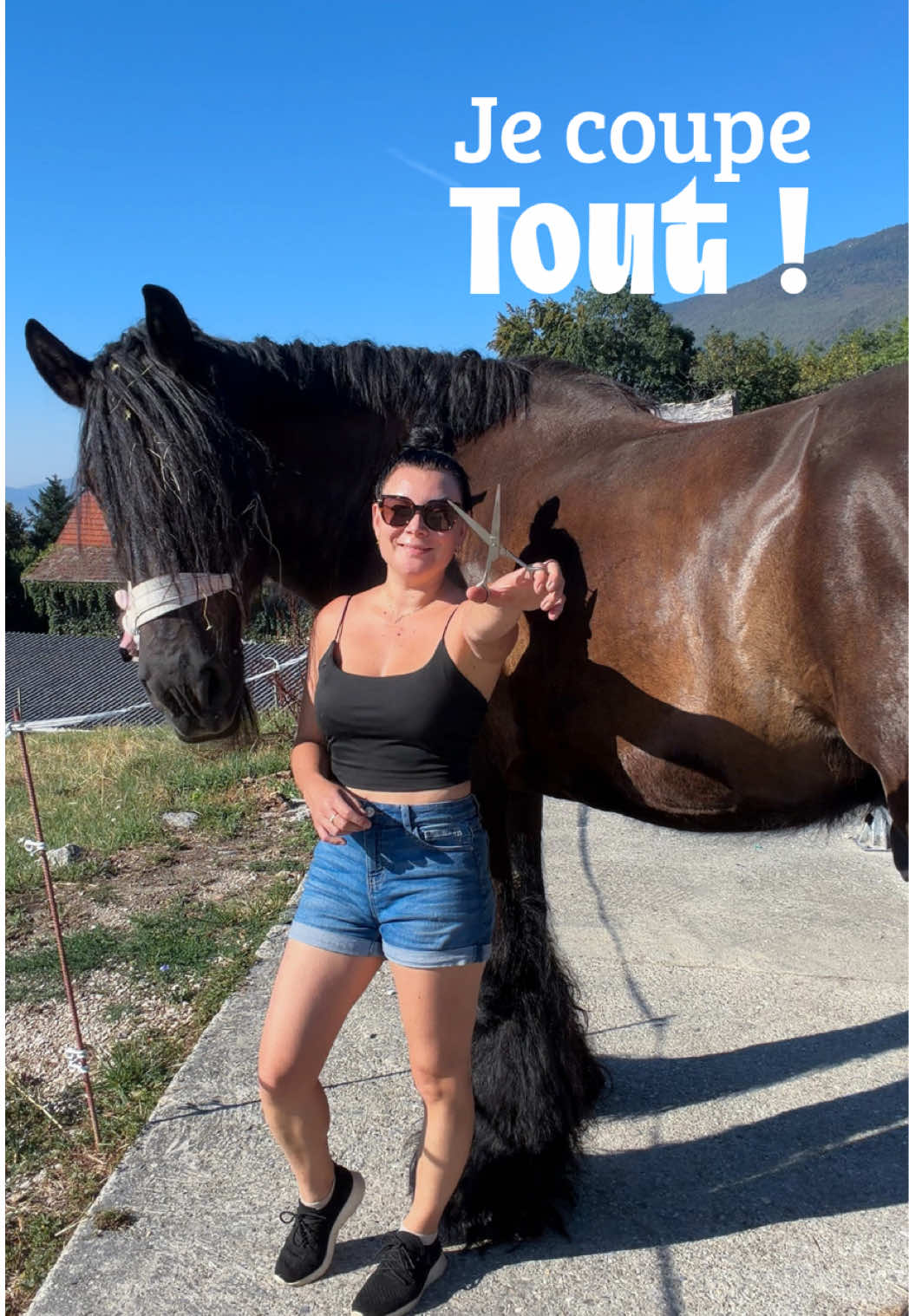 @Untraitdecheval