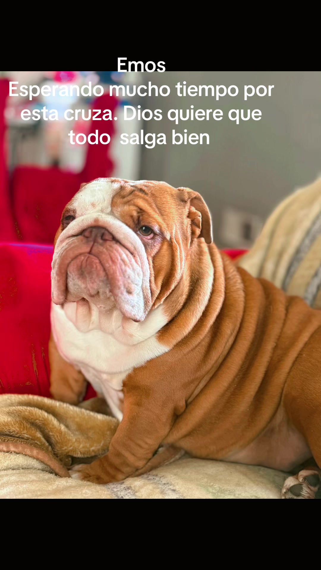 @Joel Rodriguez3889
