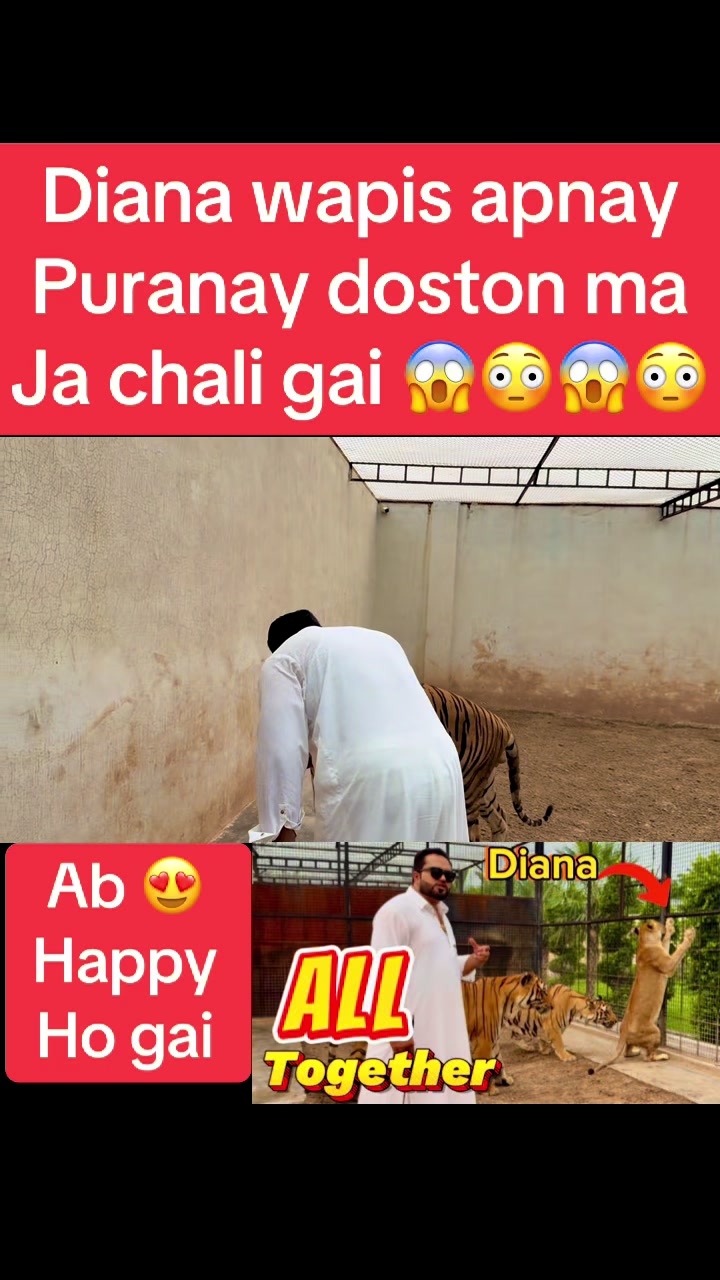 @Mian saqib