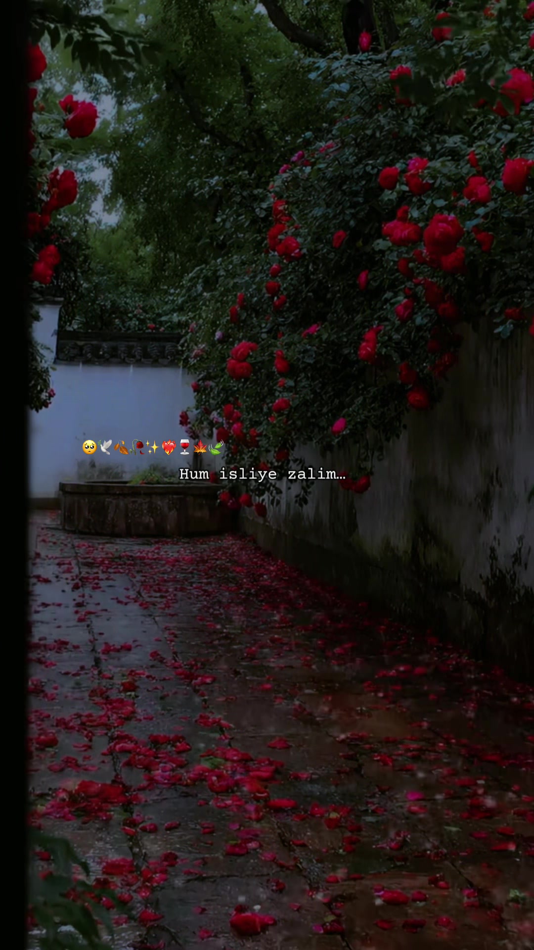 @~ Not Tumhari ~