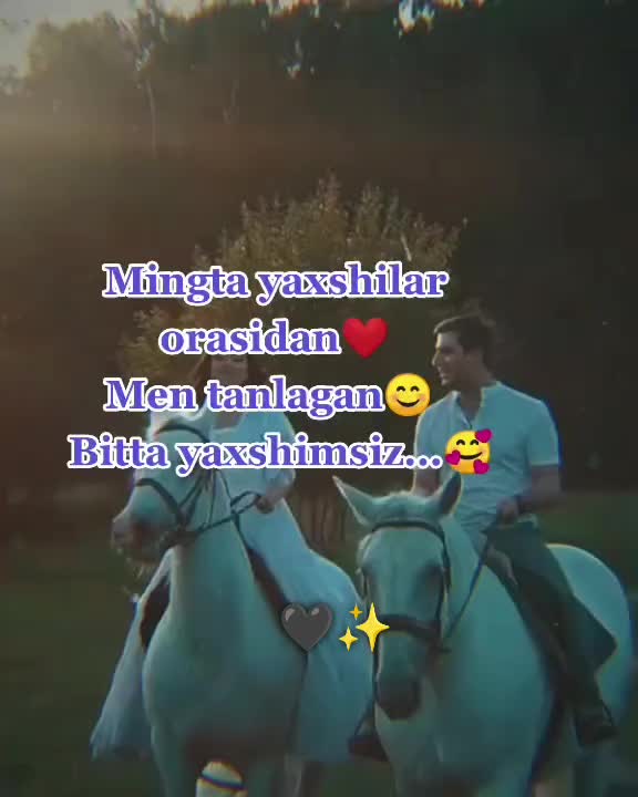 @๐บ๐๐๐๐๐๐๐๐๐ ๐ฉต