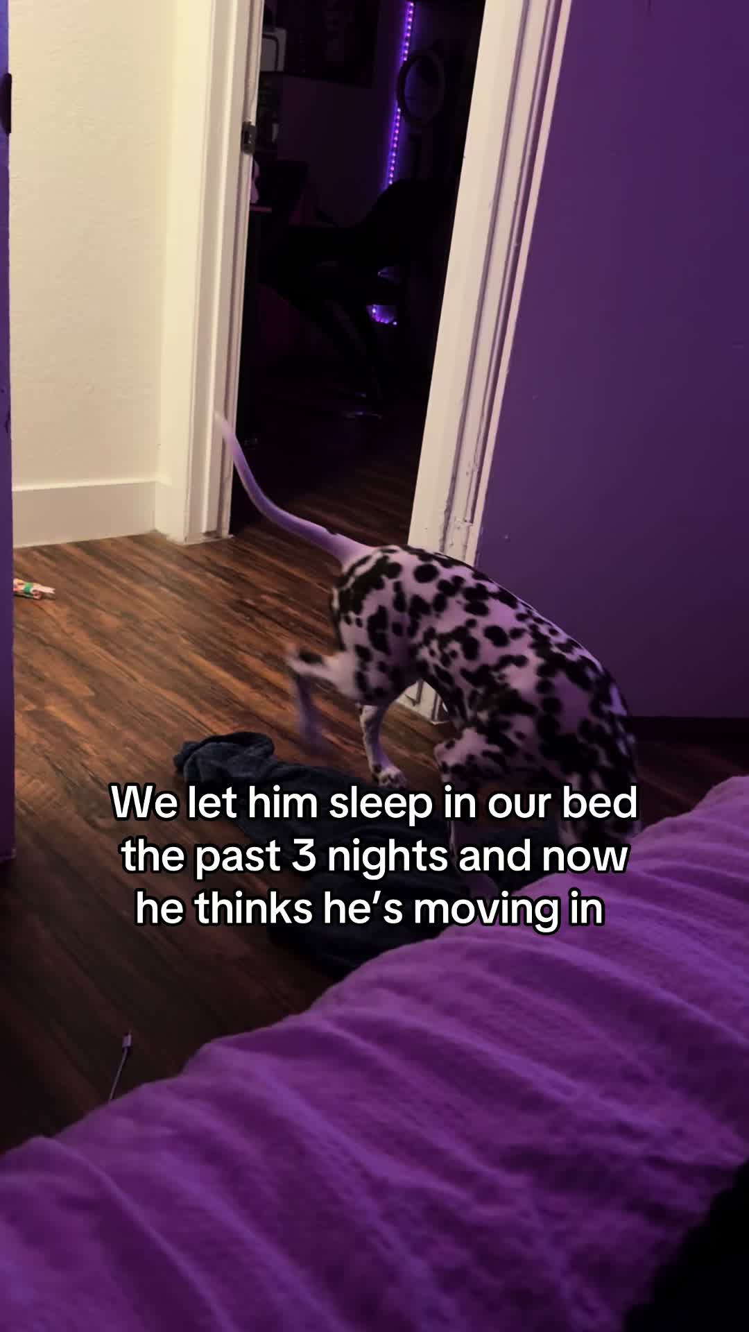 @Corinne Olivia
