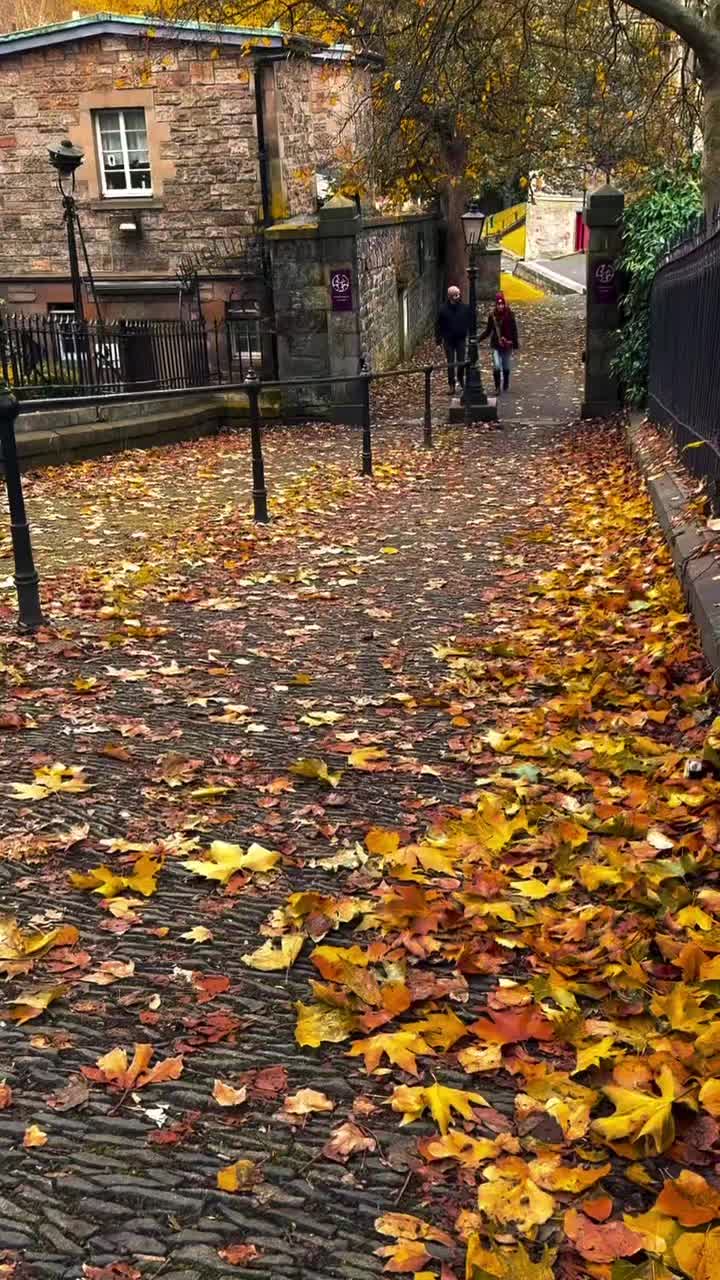 @scotland_vibs