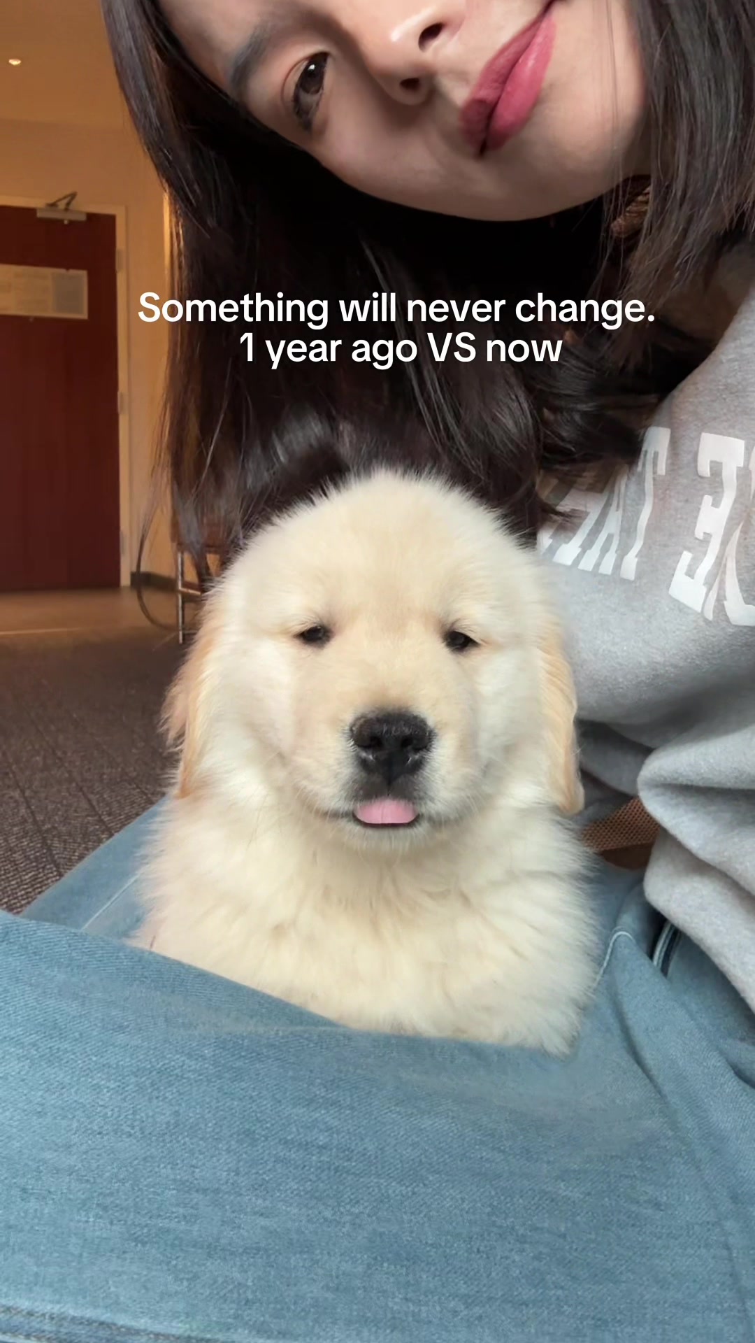 @Maui, Ruby +Hugo