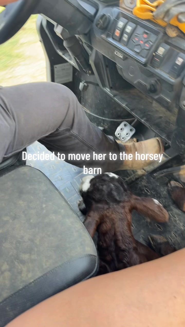 @🤎DirtWife🚜🐮🐴🐶