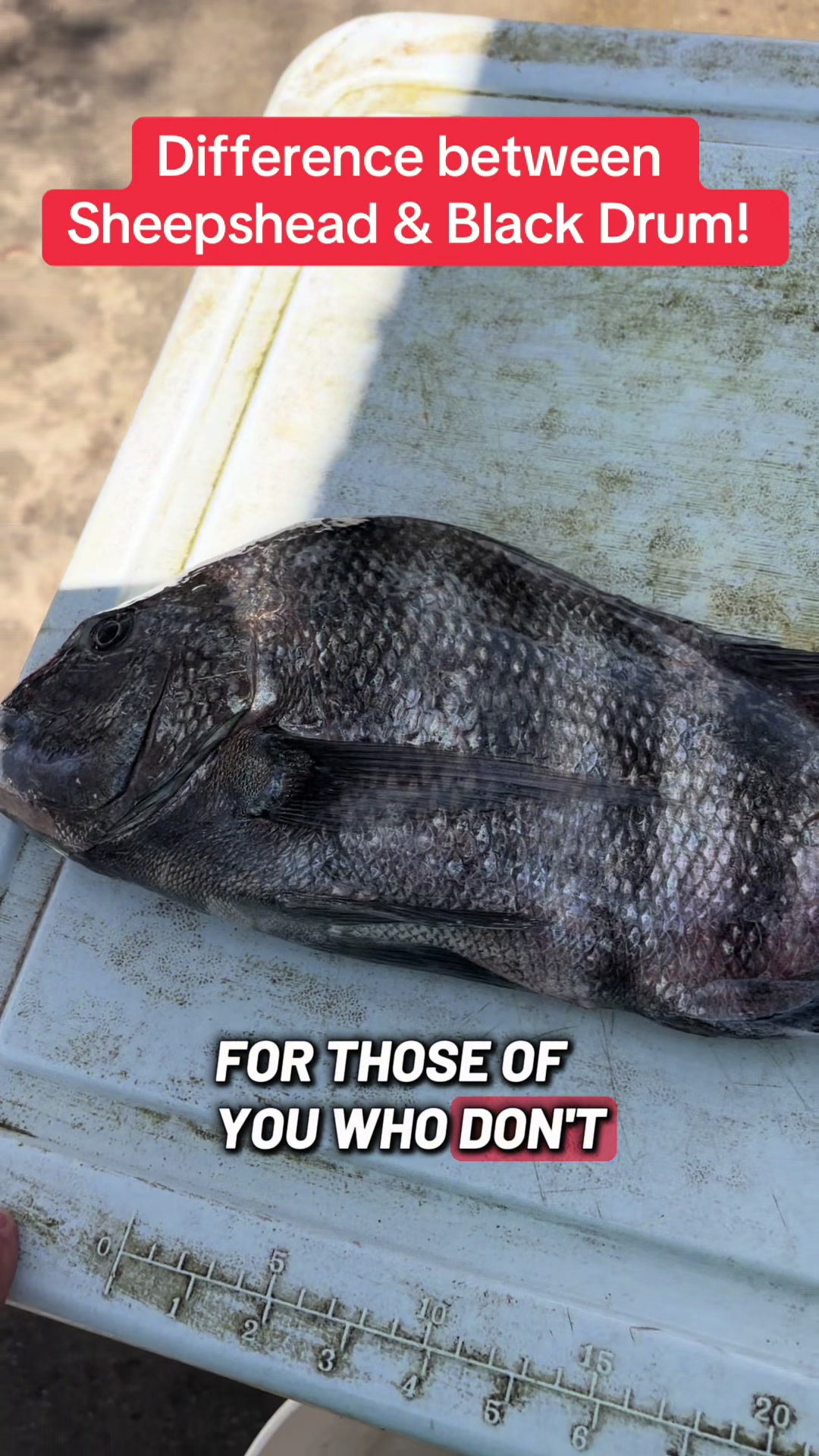 @BeaufortSC_Bait