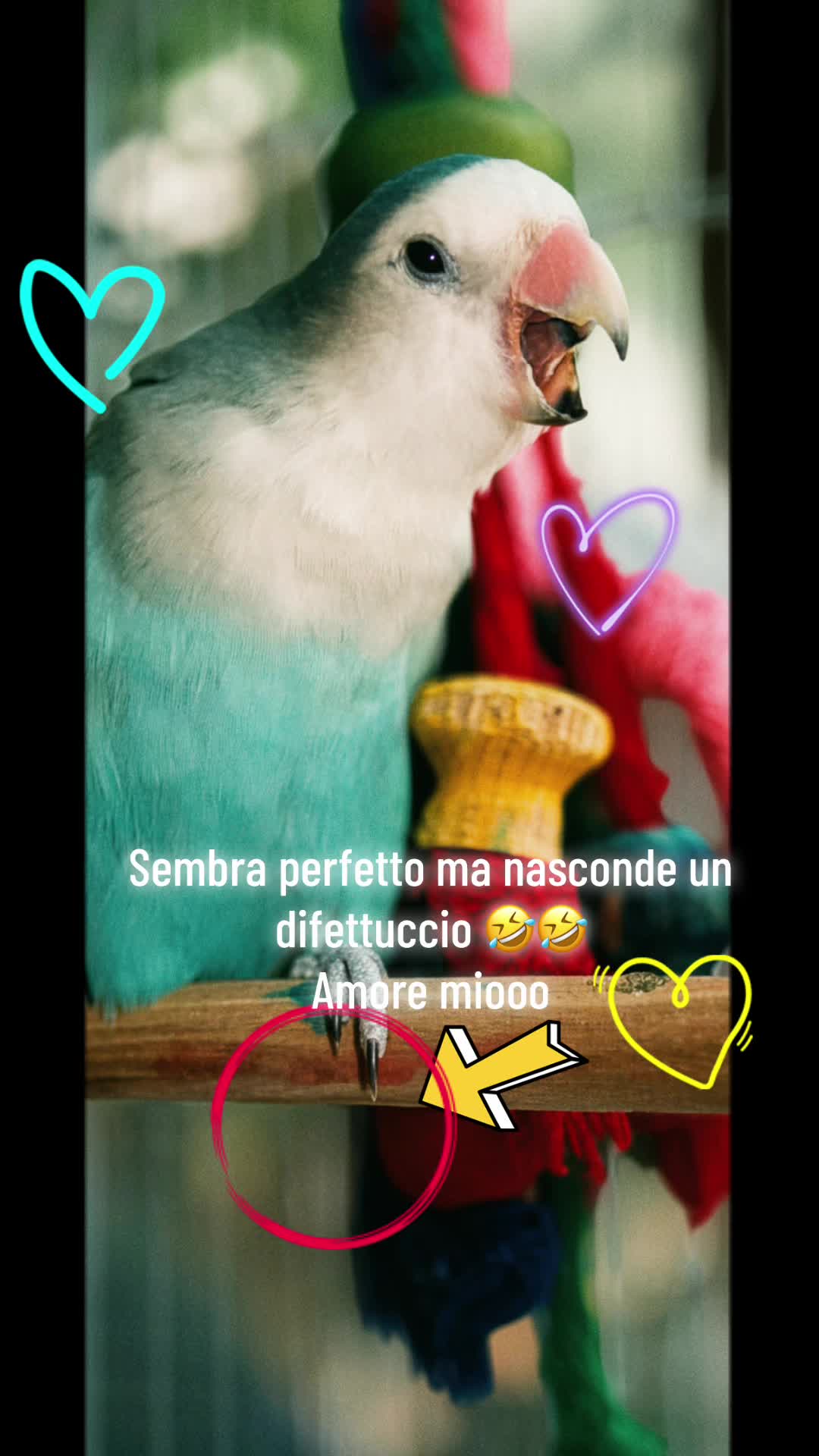 @ANGELA CATANESE