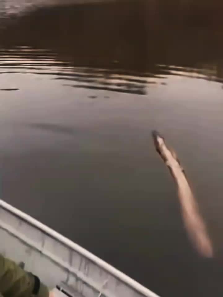 @вика