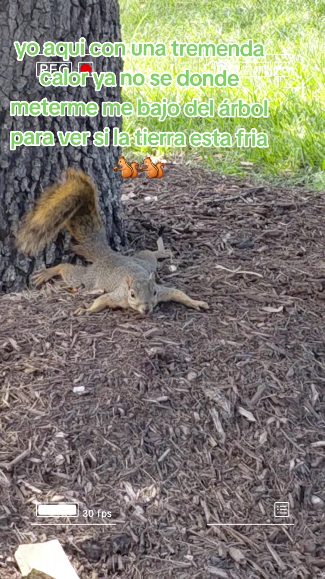 @marielrivera543