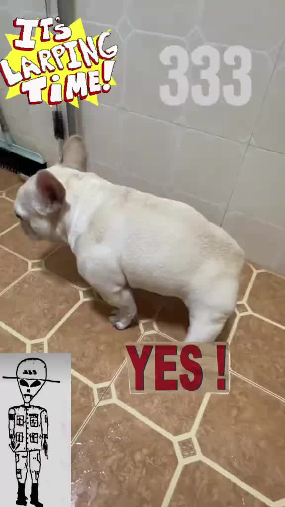 @вечная апатия