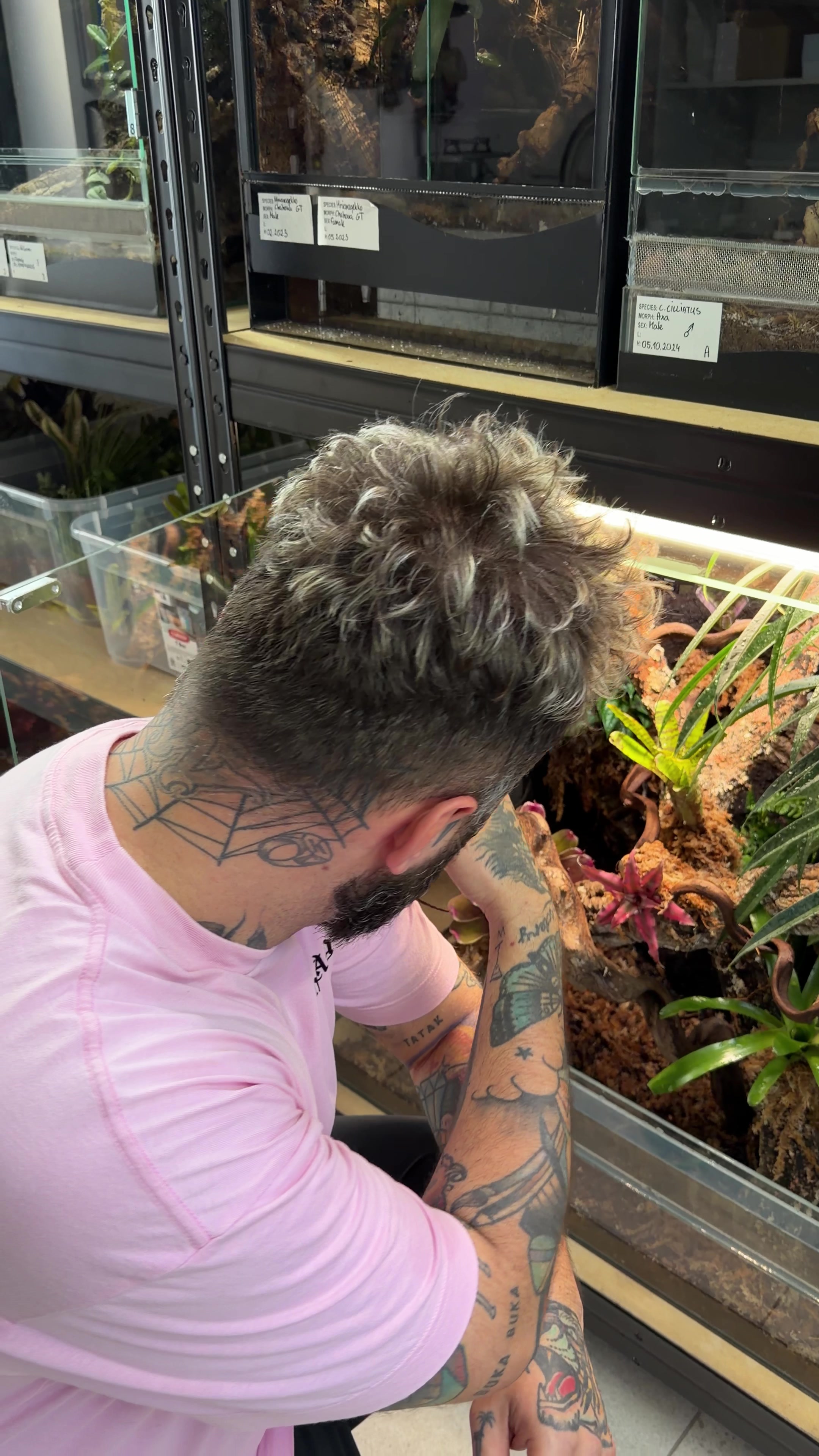 @P&M Gecko Nest🦎
