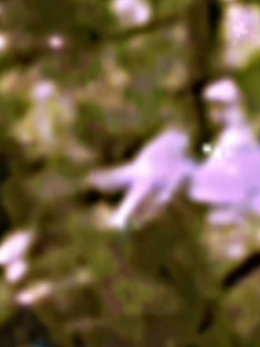 @ཐི༏ཋྀ❤︎🅱️❤︎ཐི༏ཋྀ