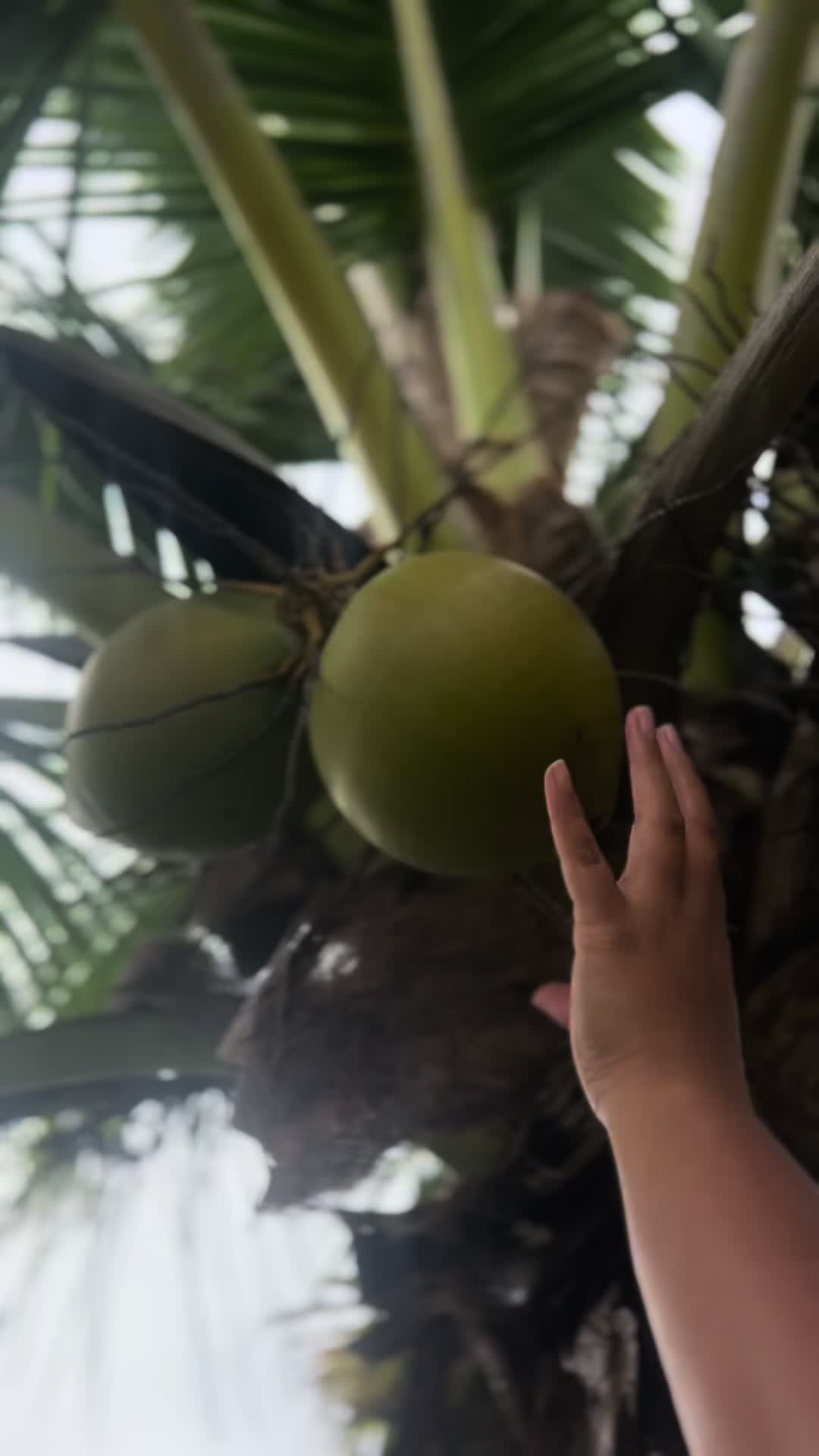 @SyLein👩🏻&zwj;🍳🇫🇲